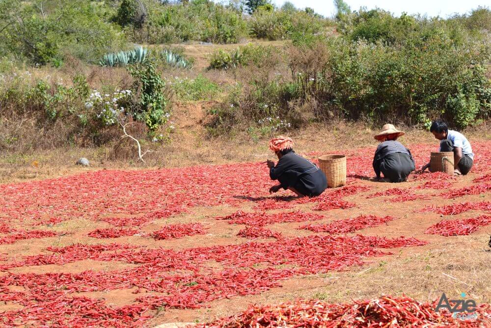 Kalaw