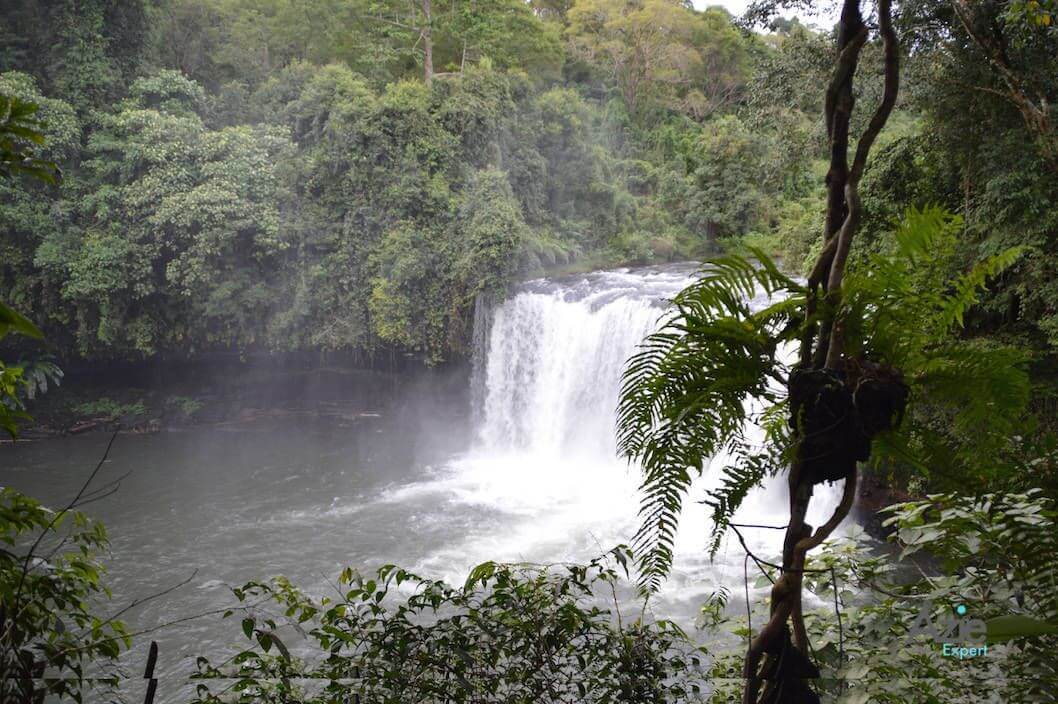 Bolaven Plateau