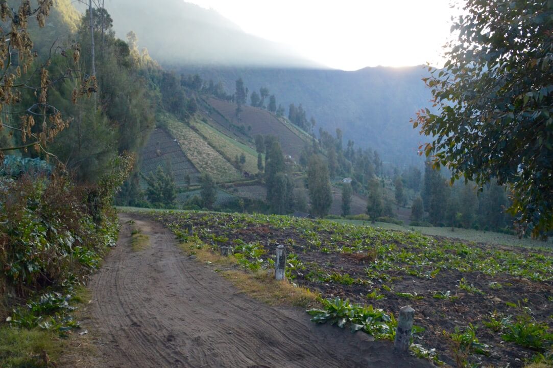 Bromo vulkaan