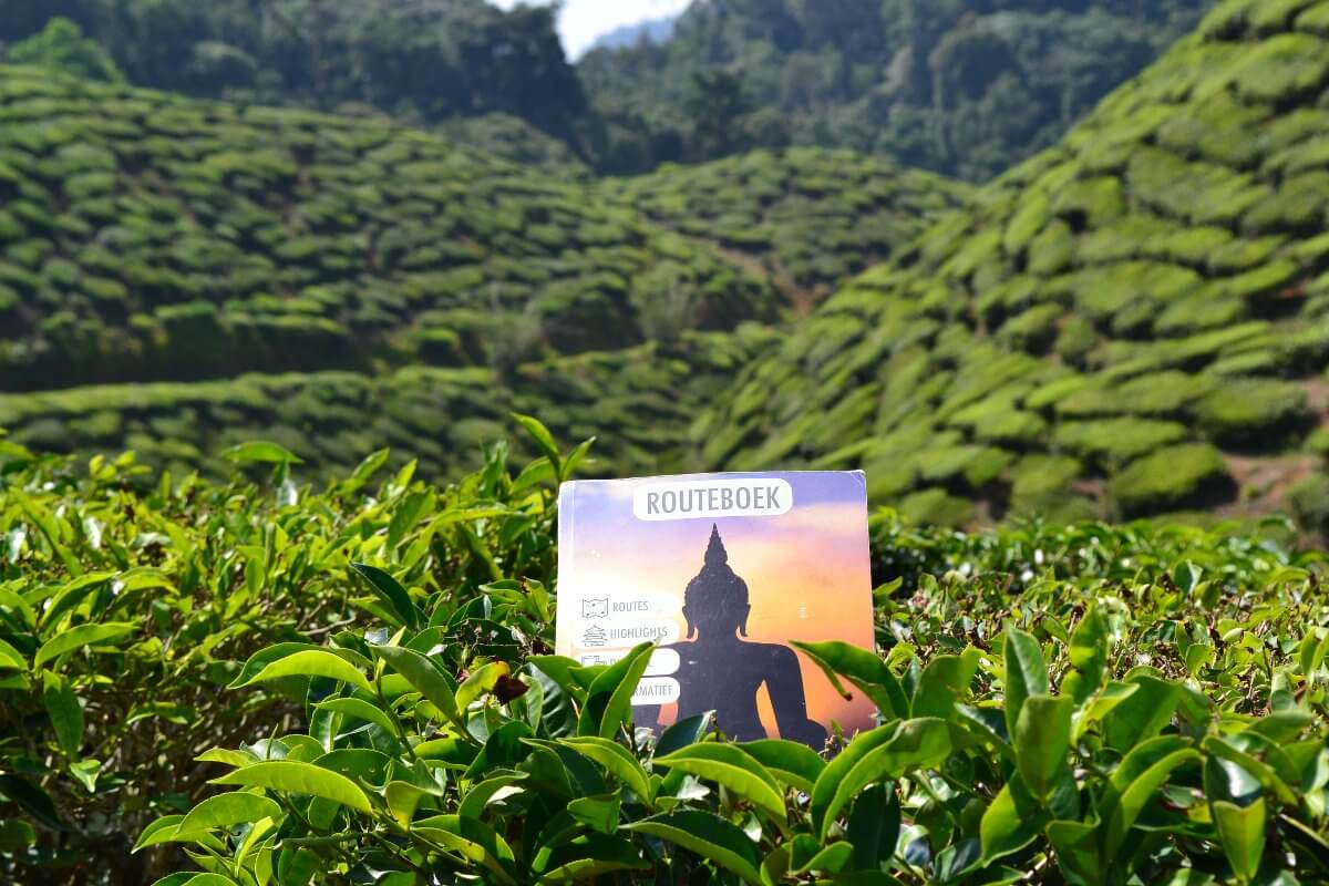 Cameron Highlands