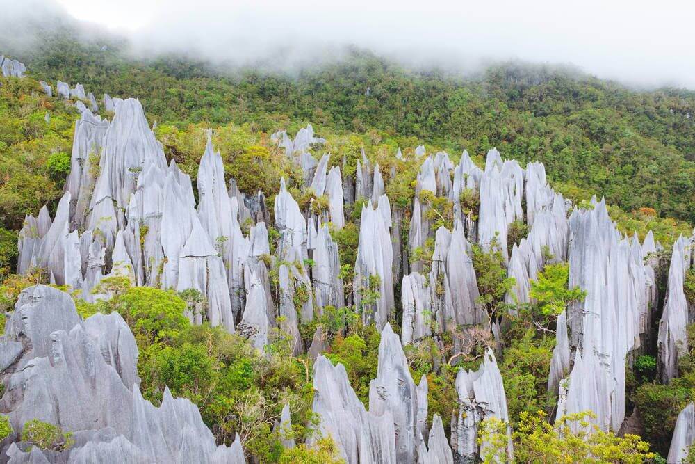 Gunung Mulu