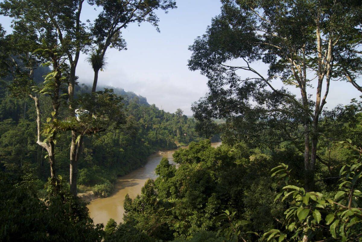 Taman Negara