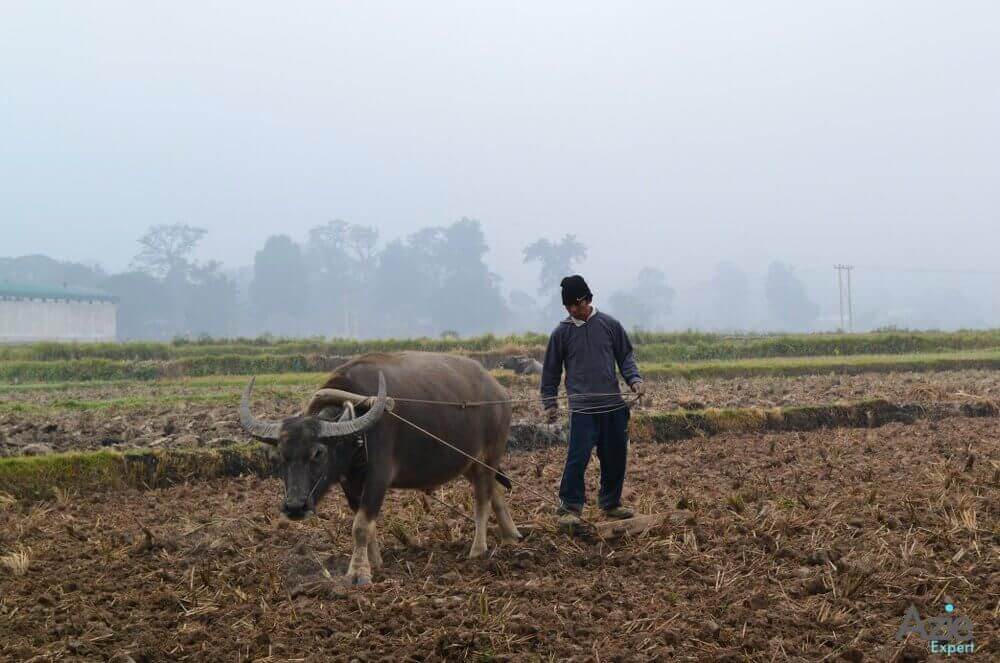 Hsipaw