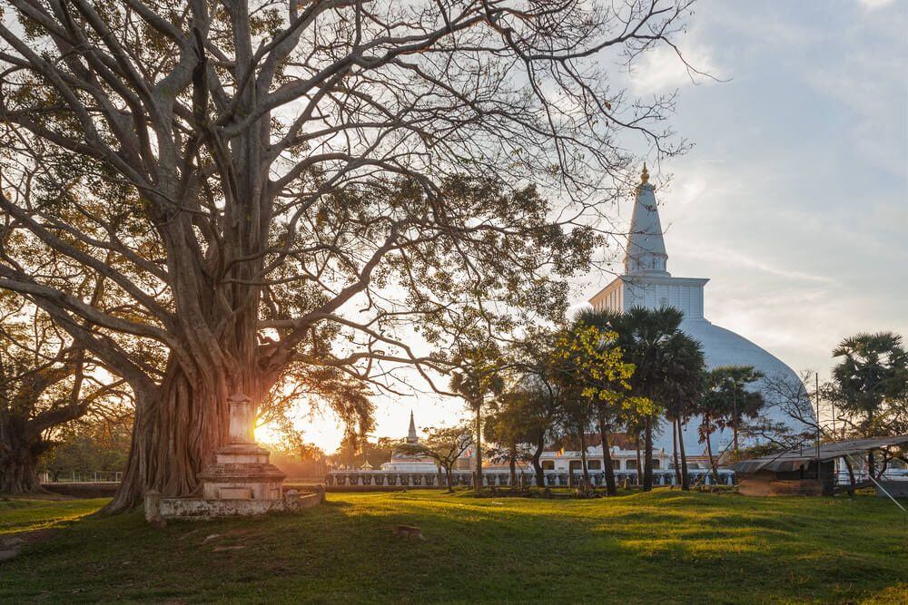 Anuradhapura