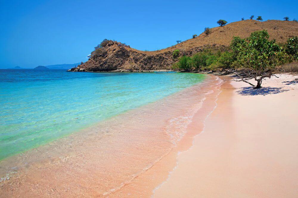 Pink Beach Komodo