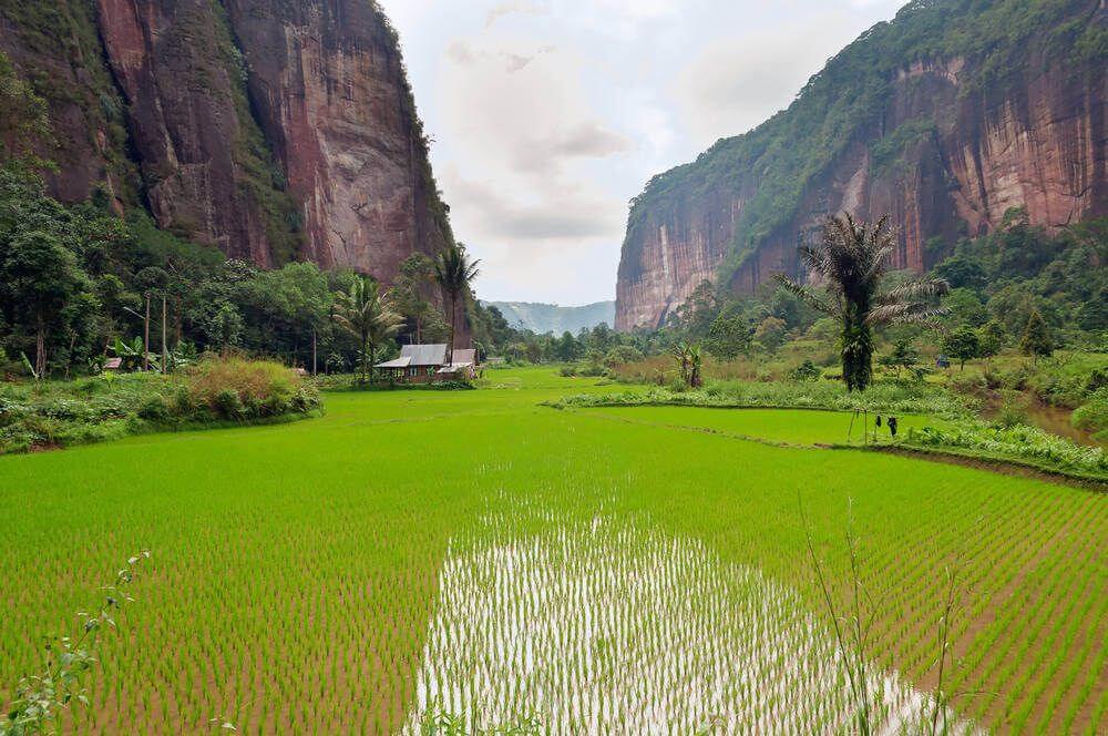 Harau vallei