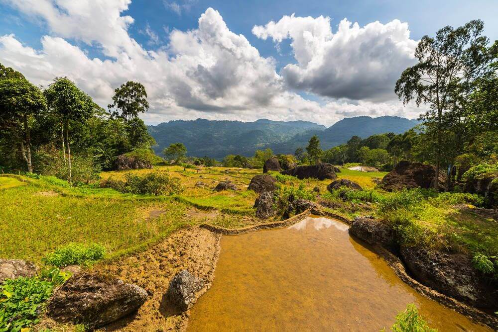 Tana Toraja