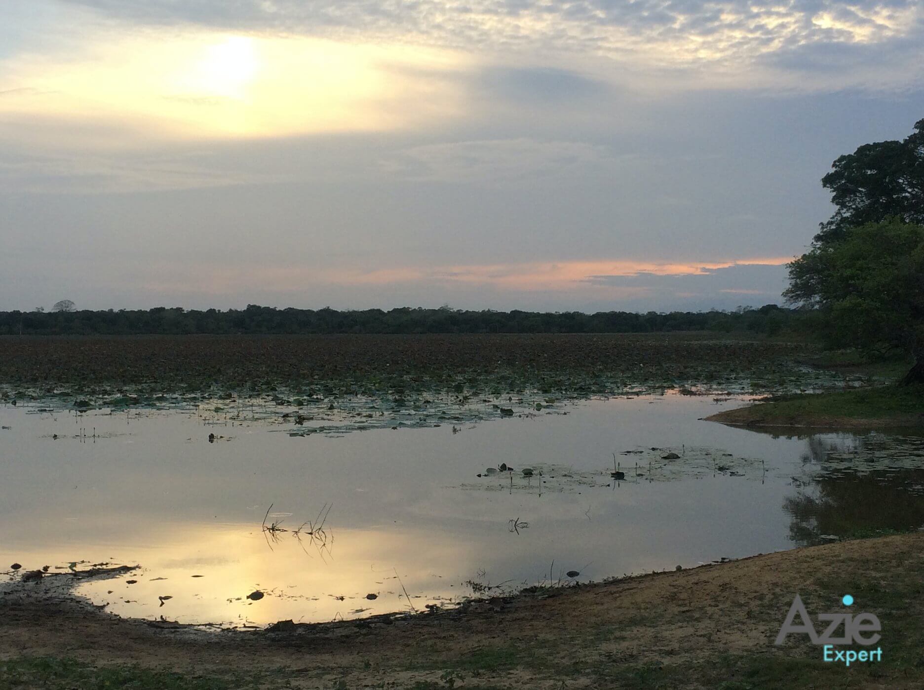 Yala National Park