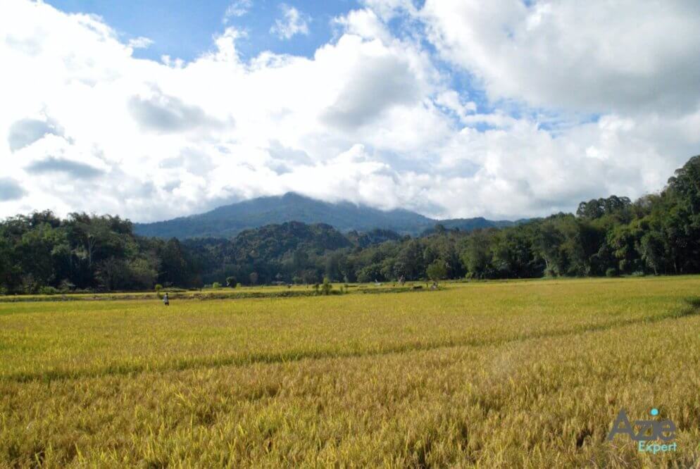 Tana Toraja