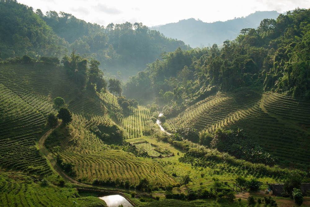 Chiang Rai