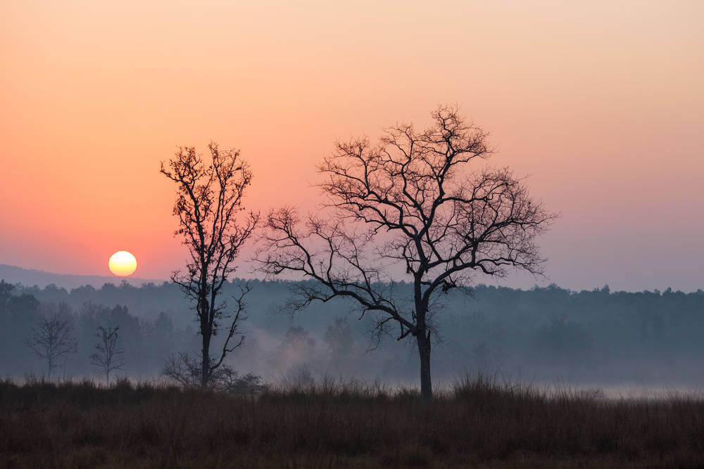 Kanha National Park