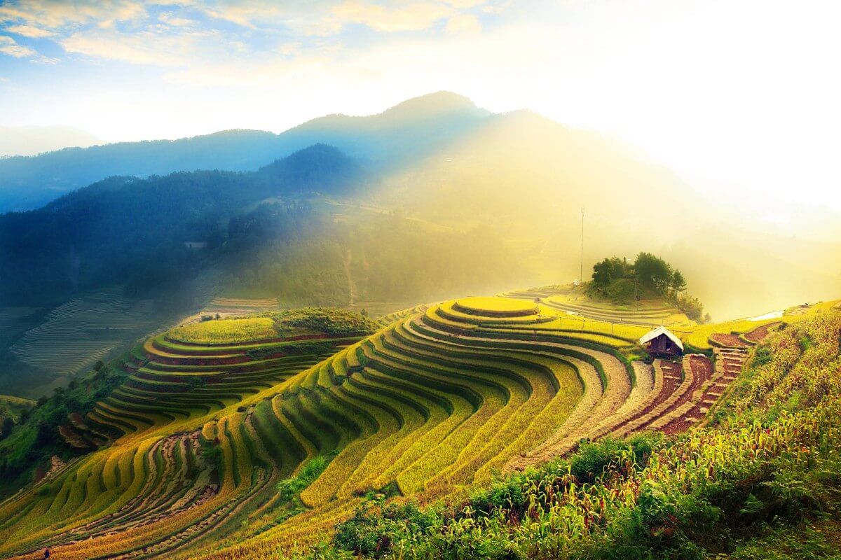 Mu Cang Chai