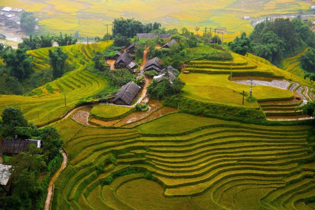 Mu Cang Chai