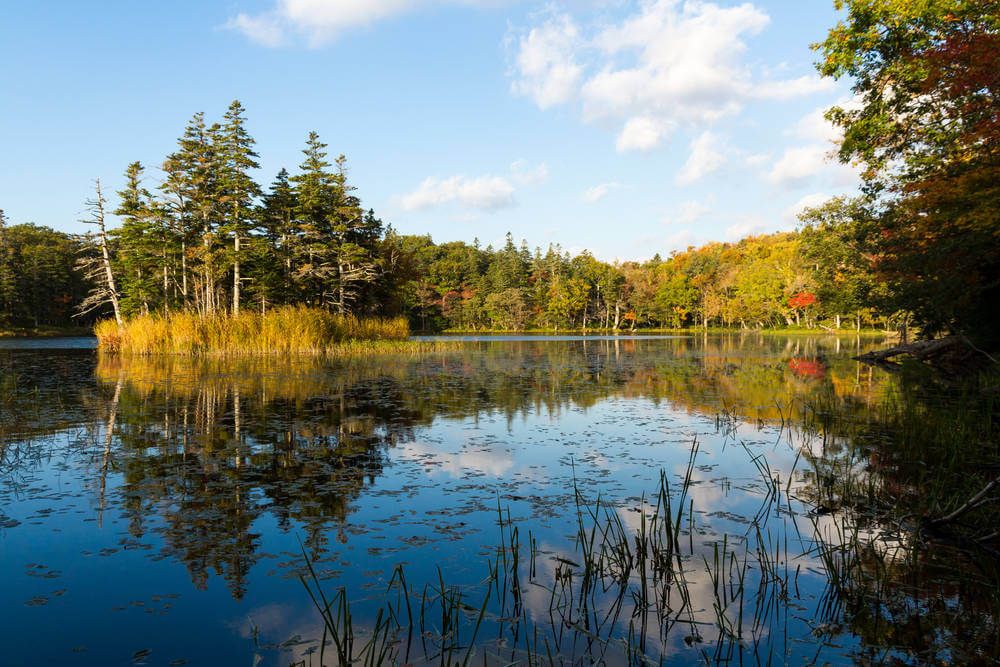 Op het schiereiland Shiretoko-hantō ligt het Shiretoko Nationaal Park. Het is een schitterend stuk land waar bijna geen mensen komen. Het is het laatste stukje échte wildernis in Japan. Het Shiretoko Nationaal Park staat op de Werelderfgoedlijst van UNESCO en ideaal voor wandelaars.