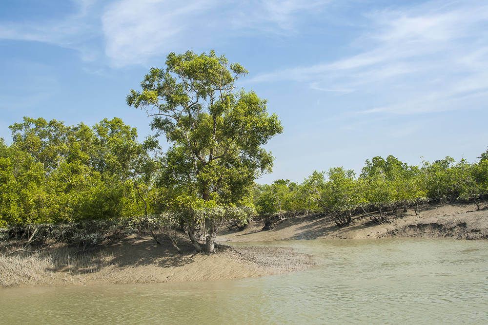 Sundarbans National Park