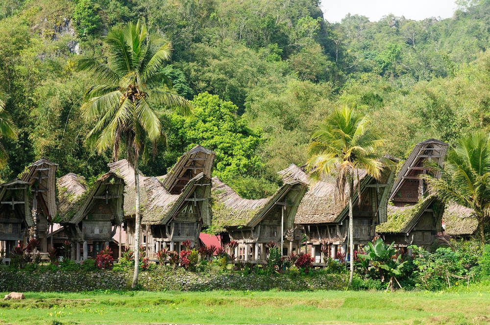 Tanah Toraja