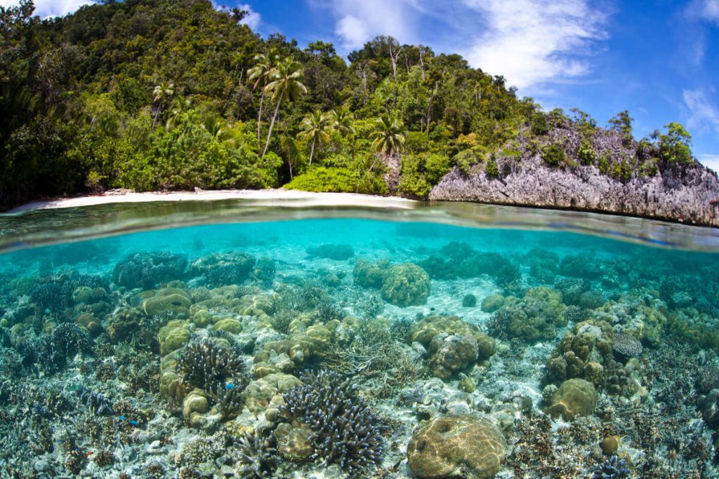 Raja Ampat