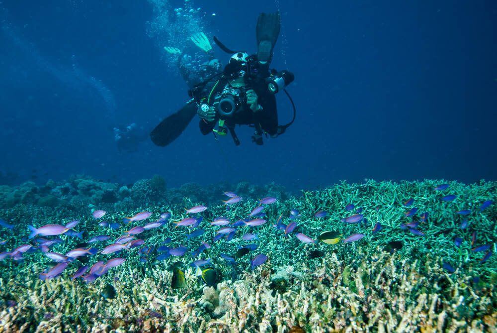 Raja Ampat