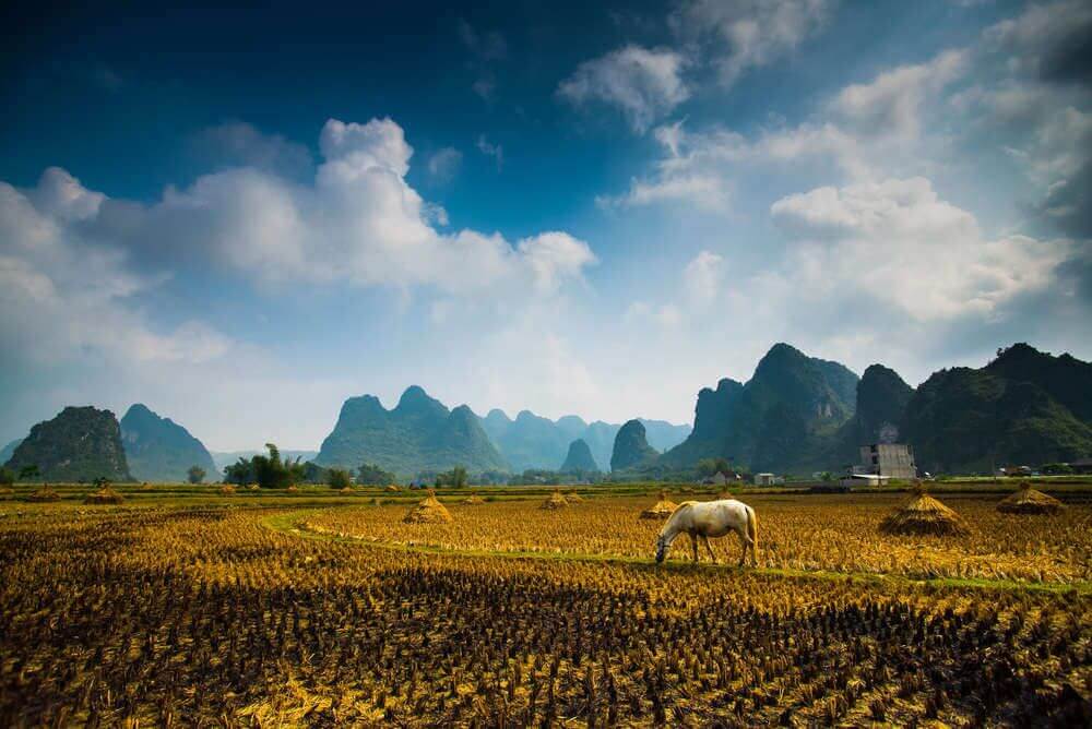 Cao Bang