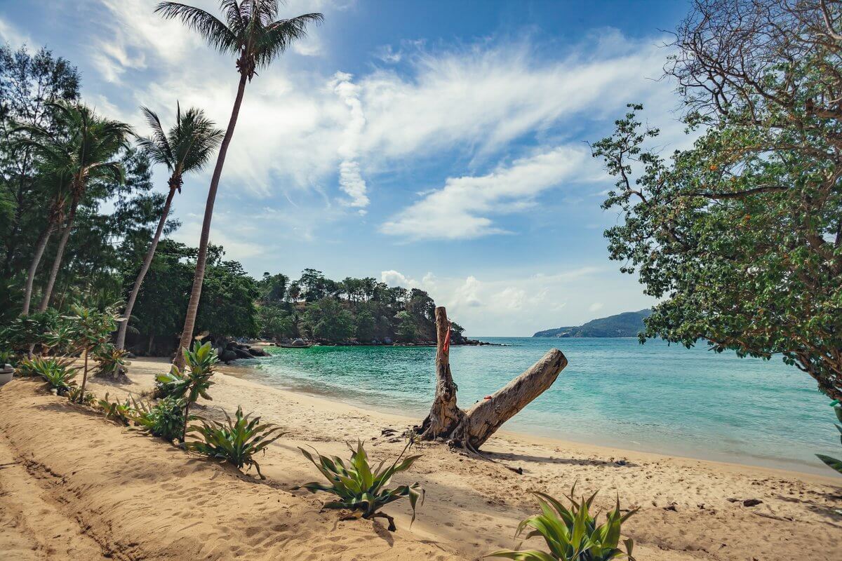 Phuket Paradise Beach