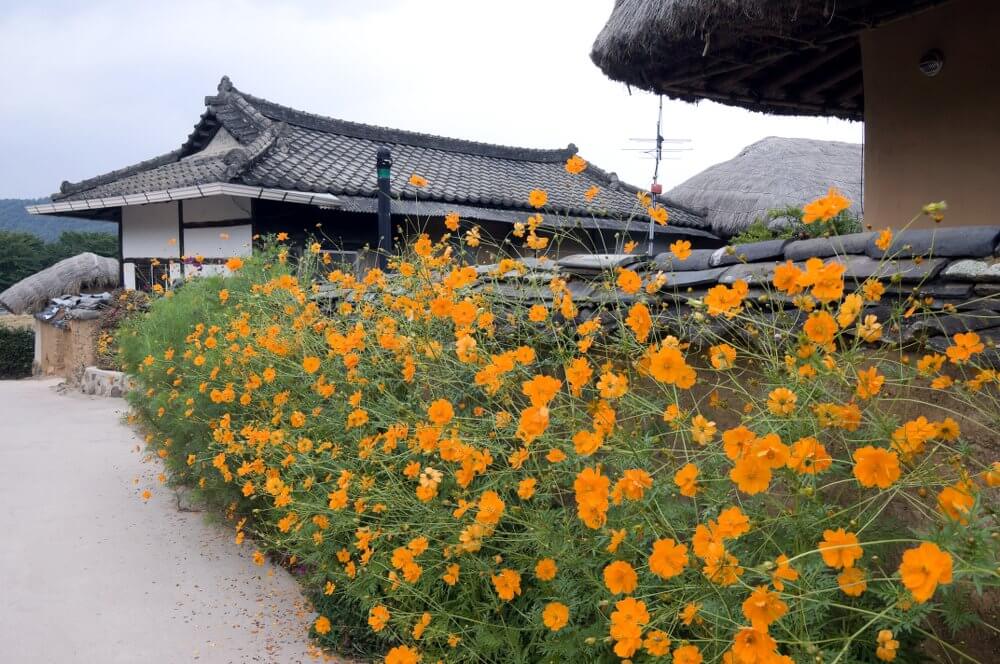 Hahoe Folk Village