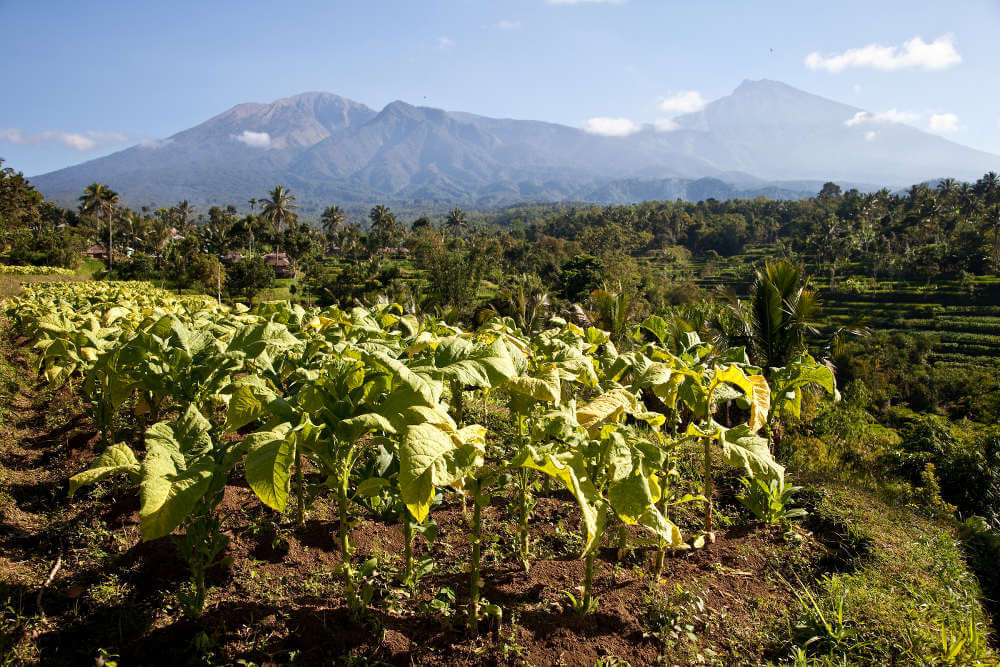 Reizen in Lombok