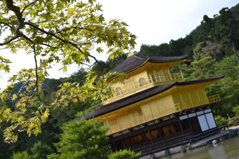 Kinkaku Ji in Kyoto