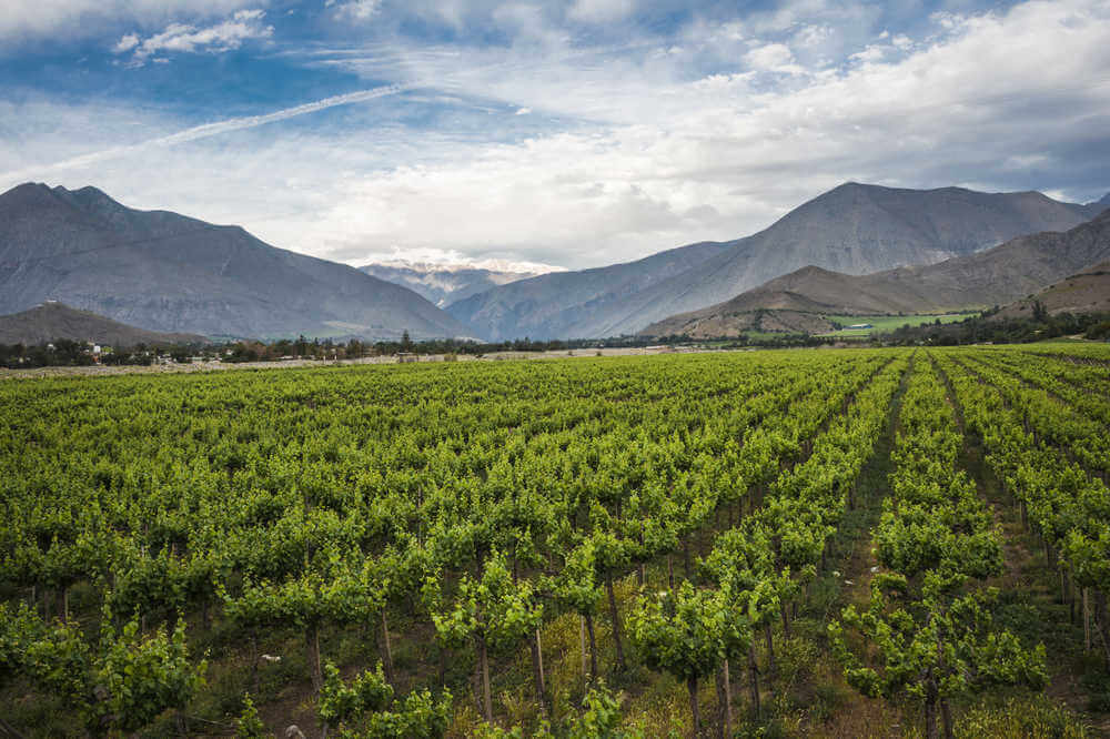 Elqui Valley