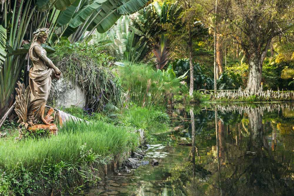 Jardim Botanico, Rio de janeiro