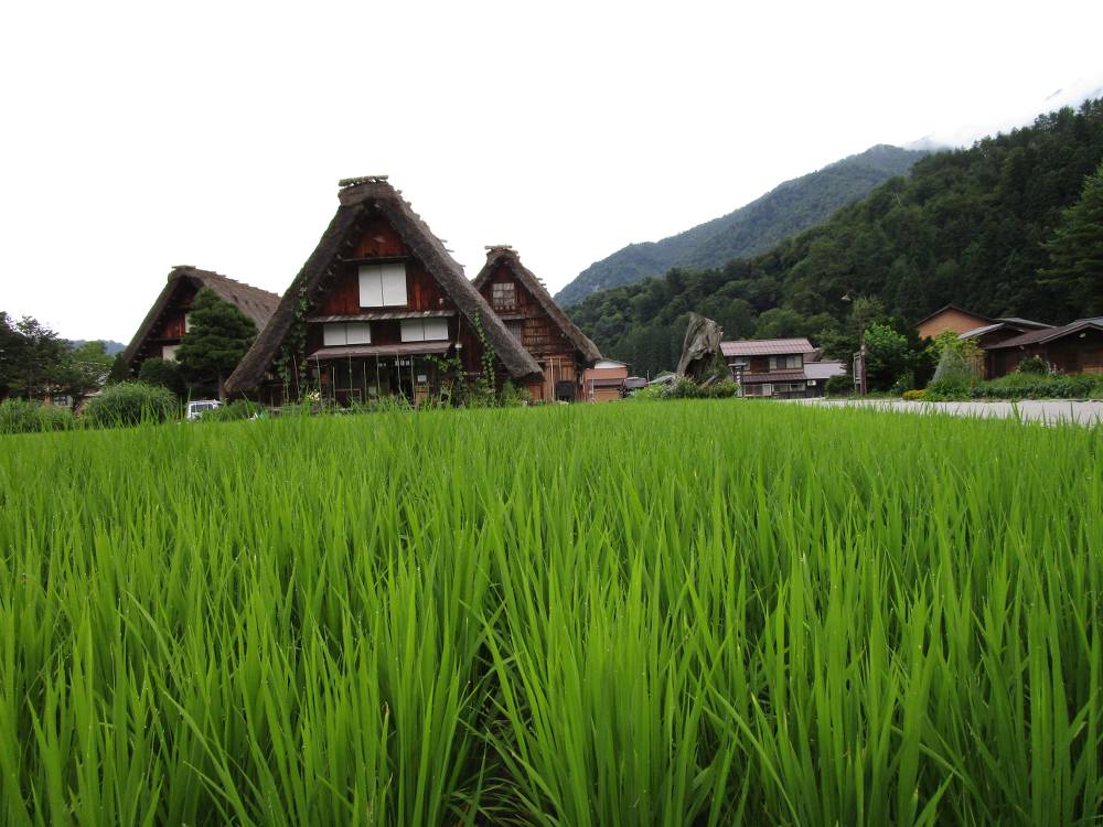 Shirakawago