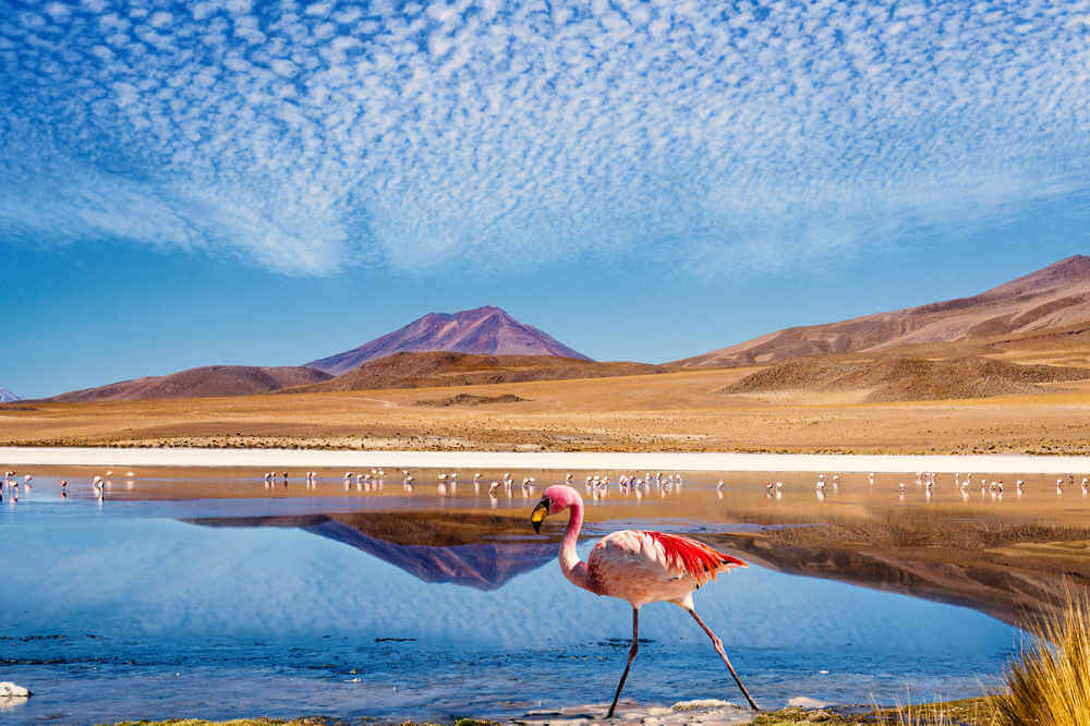 atacama desert