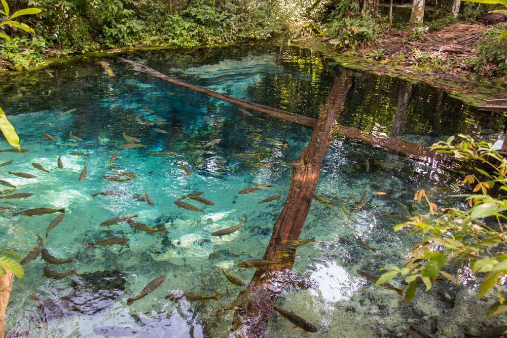 Bonito, Brazilië