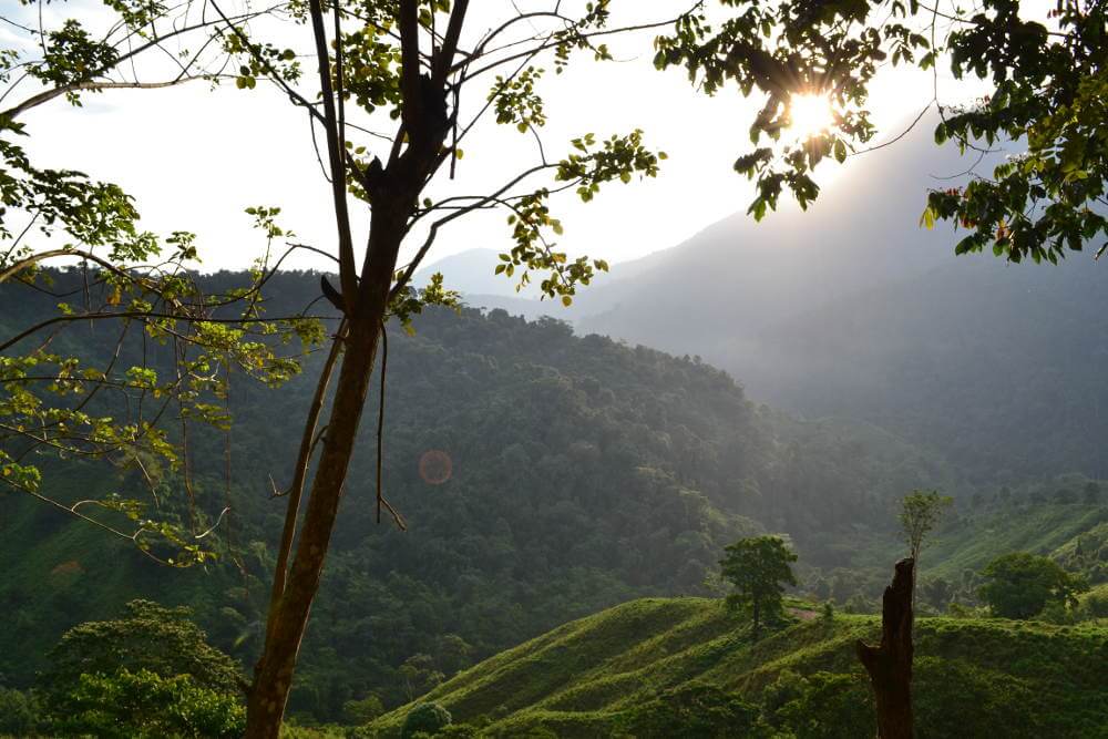 Ciudad Perdida trekking