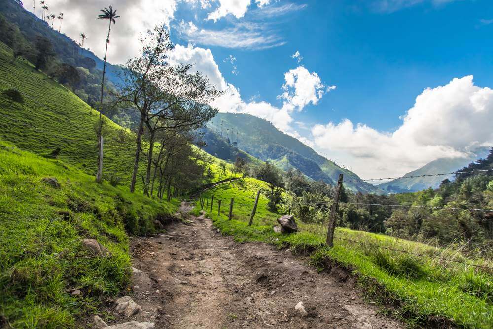 Los Nevados National Park