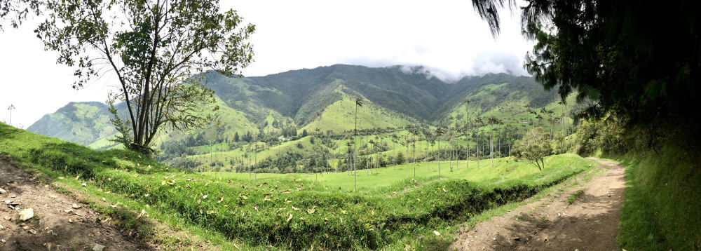 Cocora