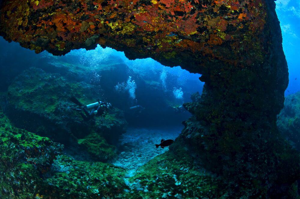 fernando de noronha