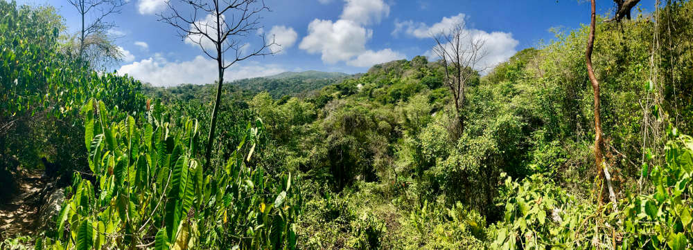 Tayrona National Park