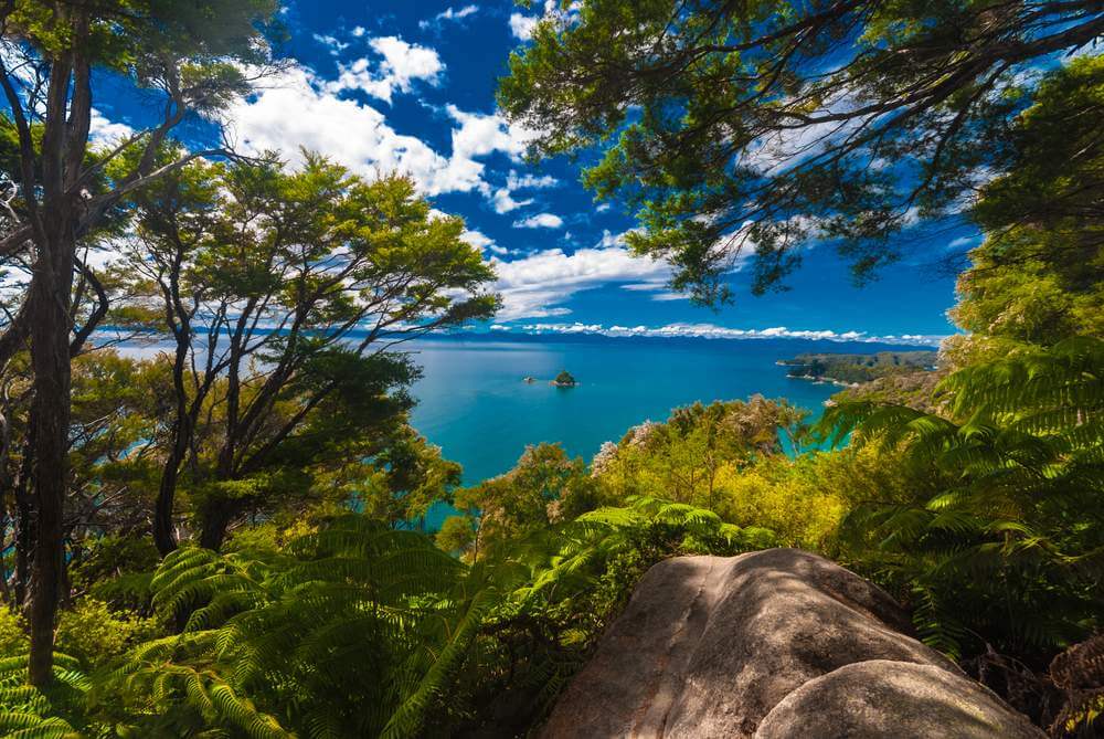 abel tasman national park