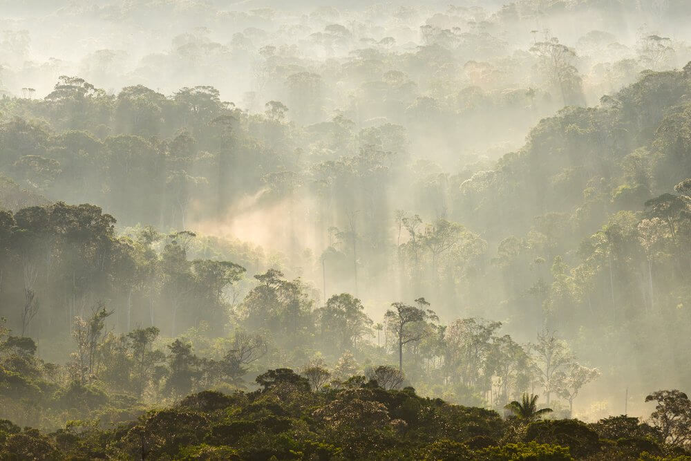 canaima national park