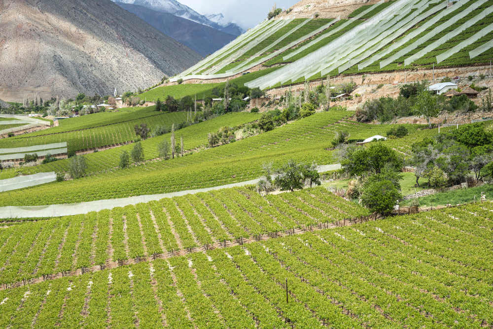 Elqui Valley