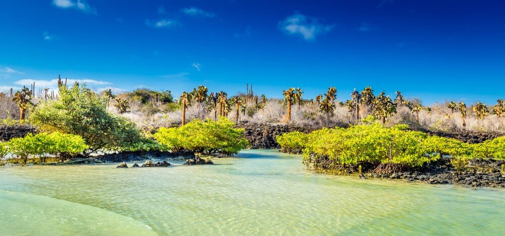 Galapagos eilanden