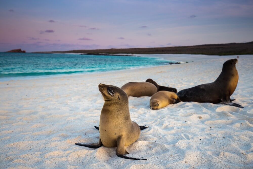 Galapagos eilanden