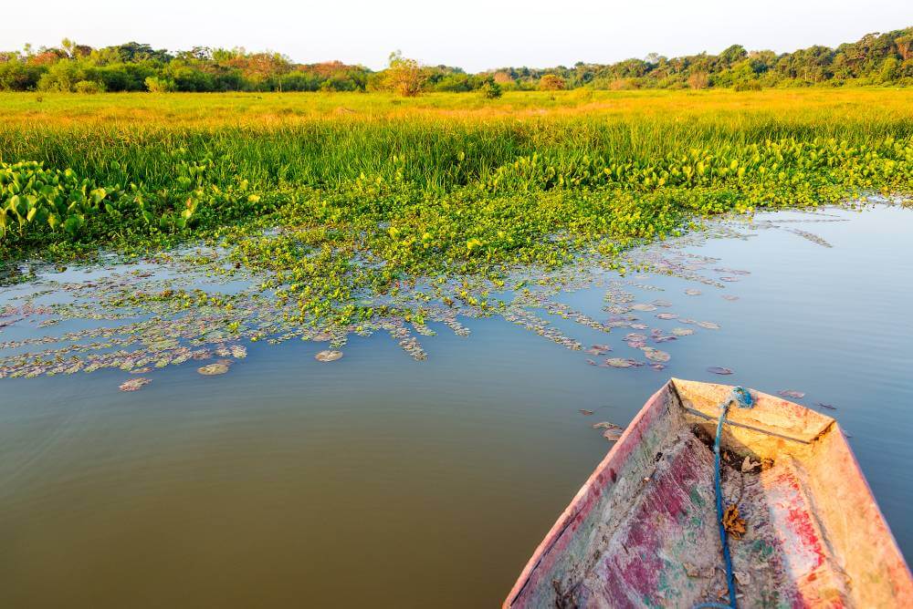 madidi national park