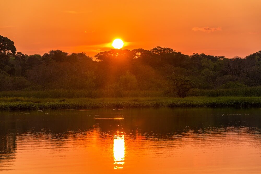 madidi national park