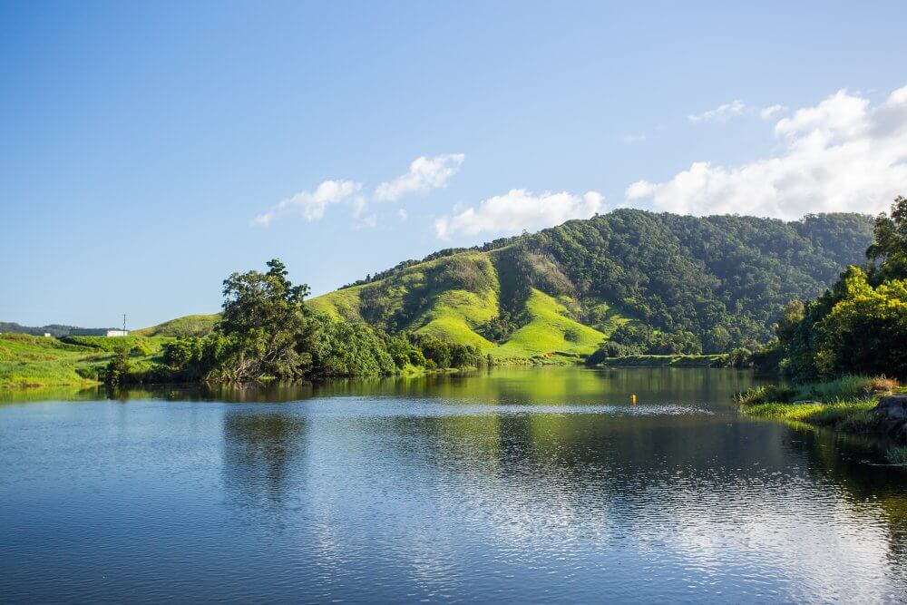 Daintree Rainforest