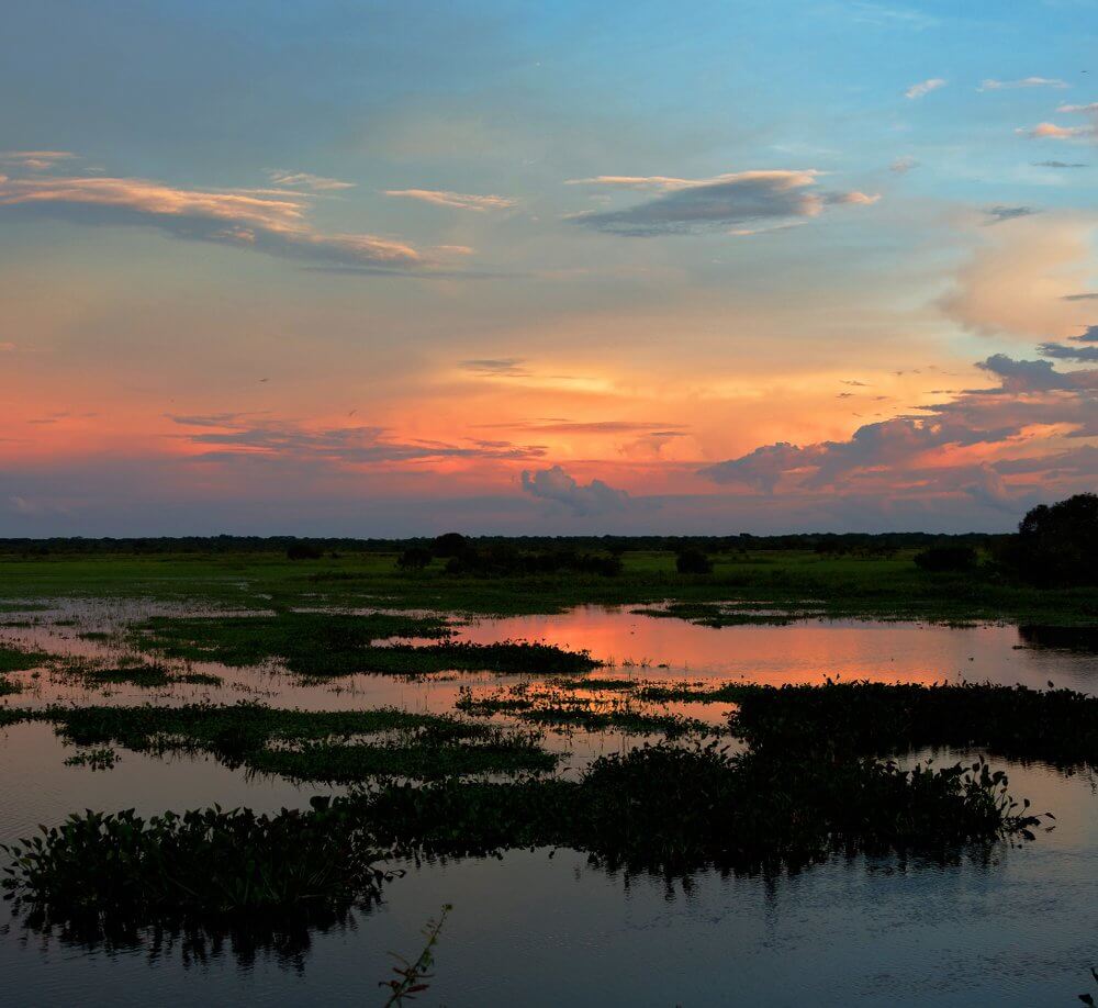 Los Llanos