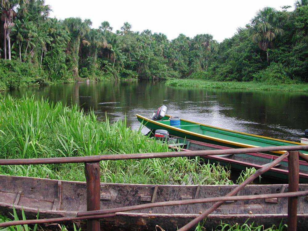 Orinoco Delta