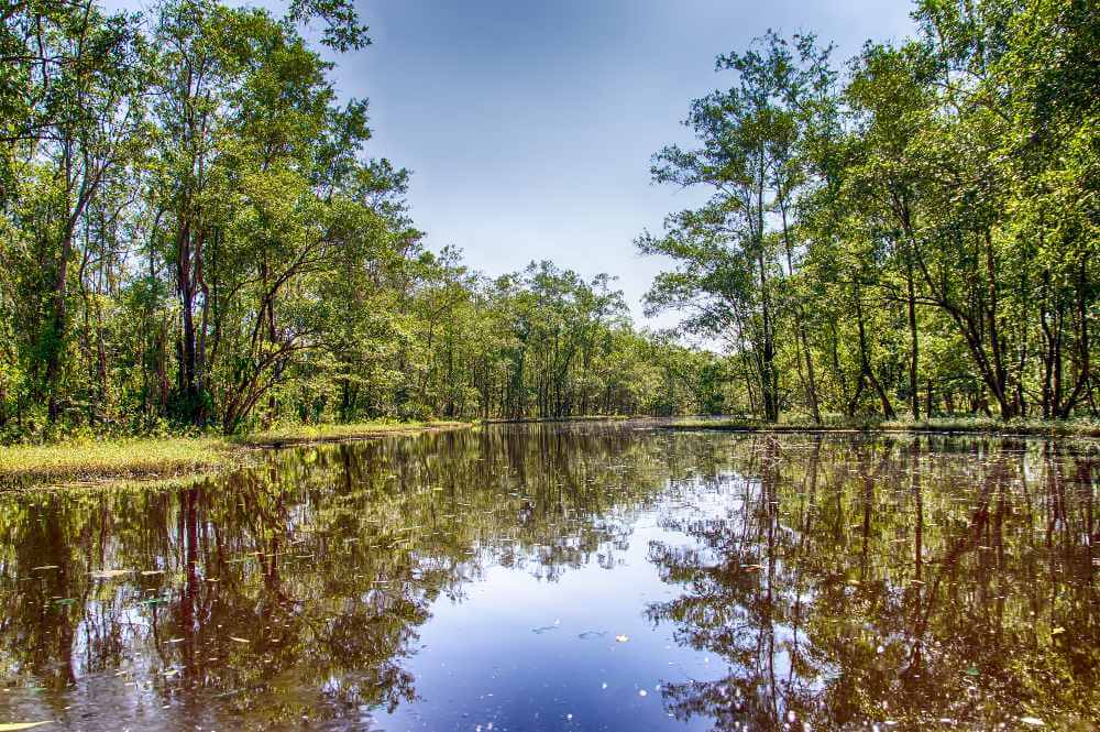 Suriname River