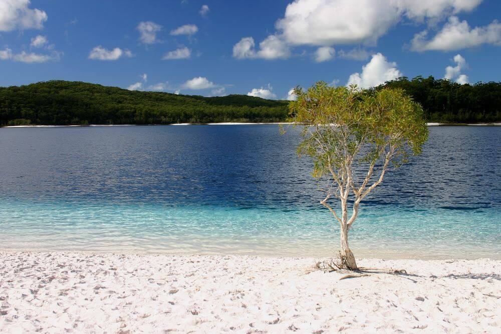 Fraser Island