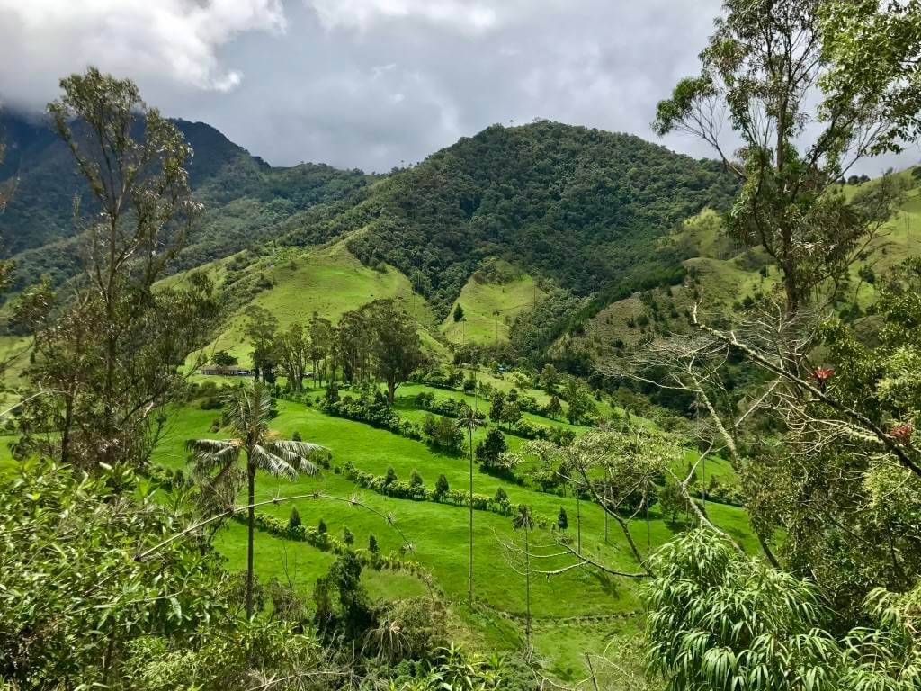 Cocora